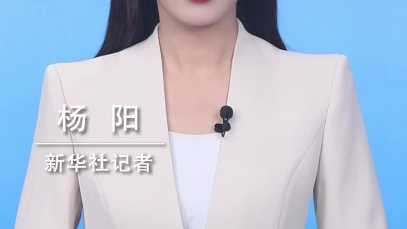 数据仓库建模：构建高效数据的艺术**